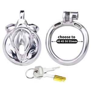 Metal new product pseudo-sissy chastity Cage simulated female clitoris male sexy drag penis lock